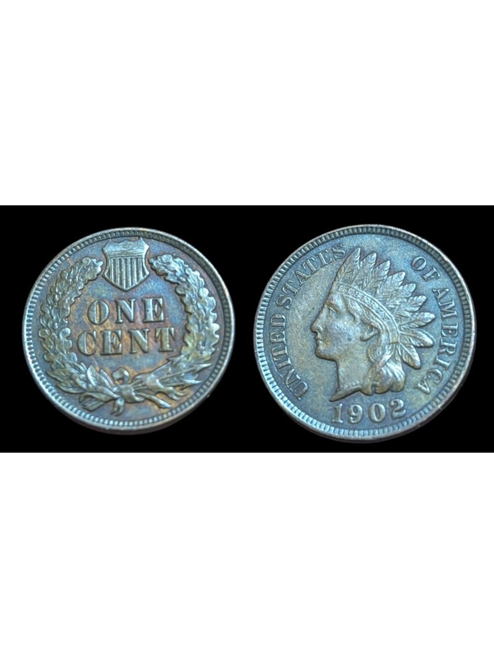 1902 Indian Head One Cent, Penny 1c ~ Choice Uncirculated Tone Brown